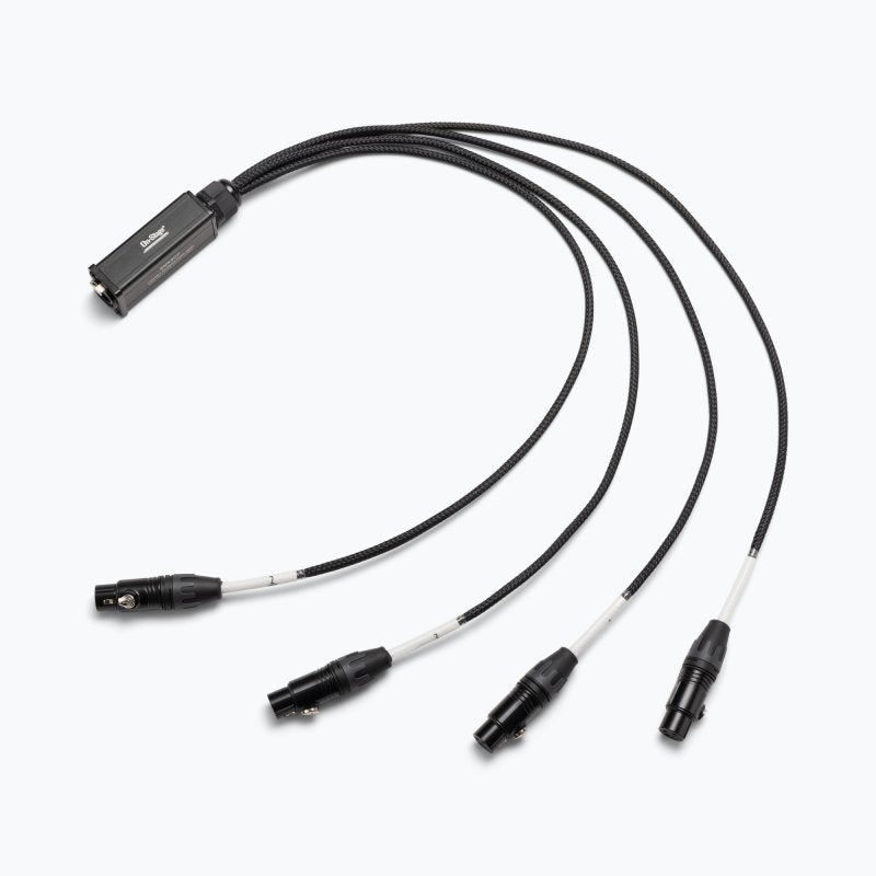 Production-Grade SNK4CF Snake Cable Female