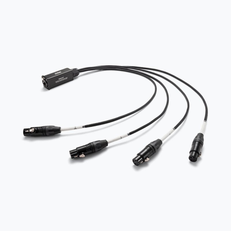 Production-Grade SNK4CF Snake Cable Female