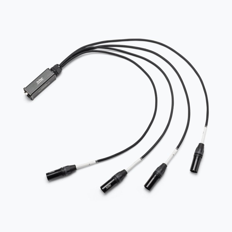 Production-Grade SNK4CM Snake Cable Male