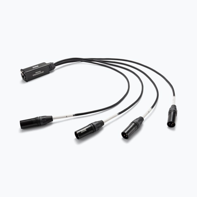 Production-Grade SNK4CM Snake Cable Male
