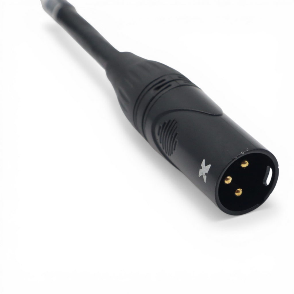 1FT RDNET XLR-M to RJ45 Cat5 / Cat6