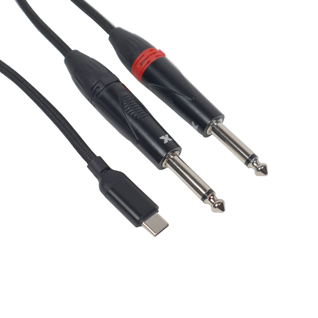 3FT USB-C to Dual 1/4" TS