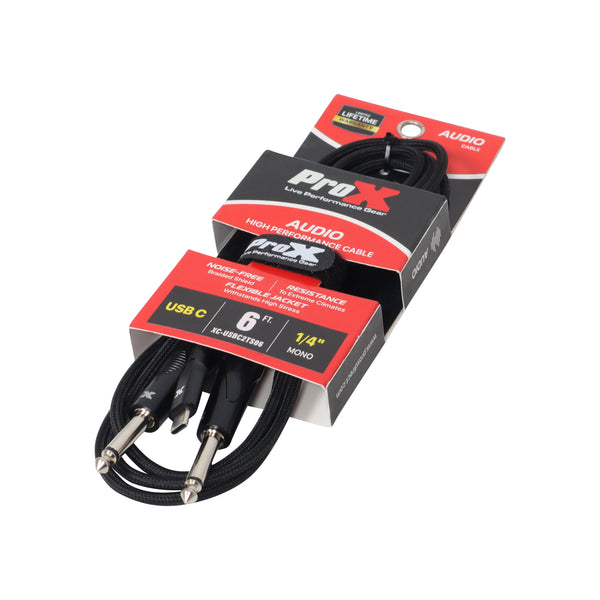6FT USB-C to Dual 1/4" TS