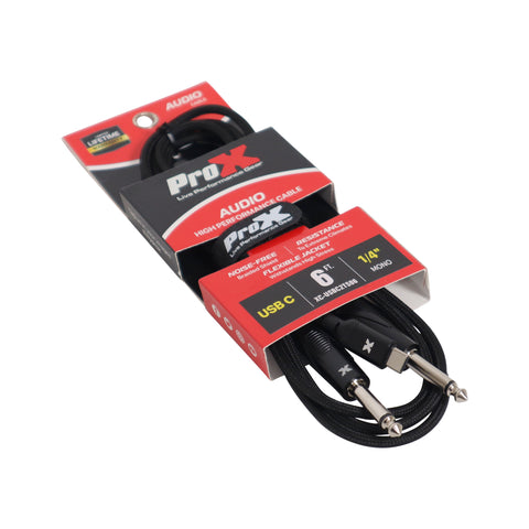 6FT USB-C to Dual 1/4
