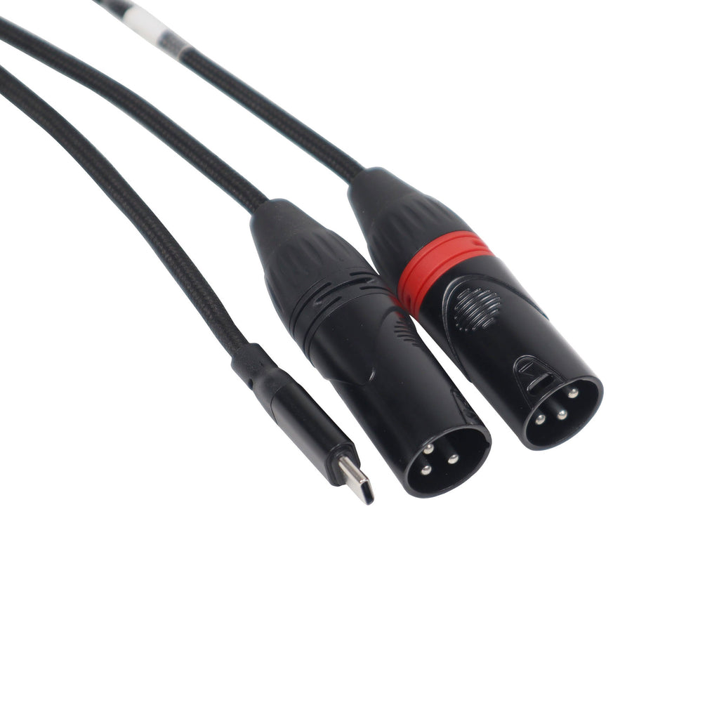3FT USB-C to Dual XLR-M