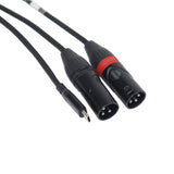 3FT USB-C to Dual XLR-M