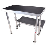 StageQ 2 ft x 4 ft Stage Deck w/ 4 Adjustable 28–48 inch Legs