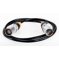 CAT6IP1