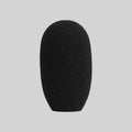 RK311 - Windscreen