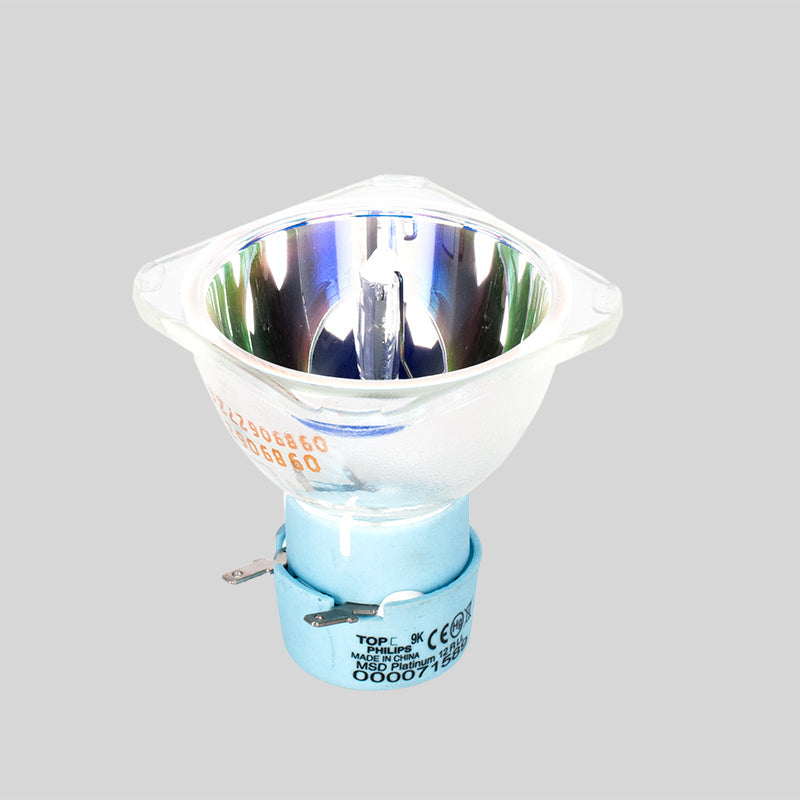 ZB-MSD Platinum 12R LL