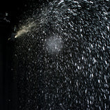 VF SNOW FLURRY HO EP