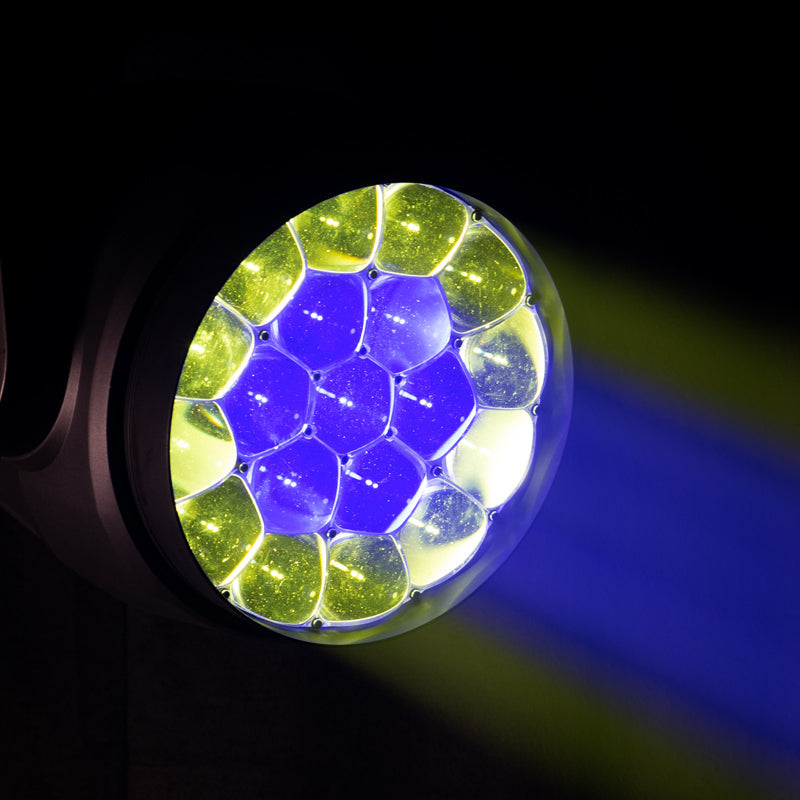 Focus Flex L19