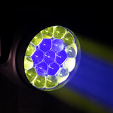 Focus Flex L19