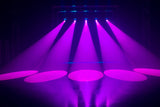 FOCUS SPOT 5Z
