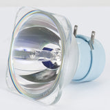 ZB-MSD PLATINUM 5R