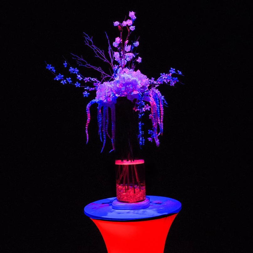 Chauvet Freedom Centerpiece (4 Pack)