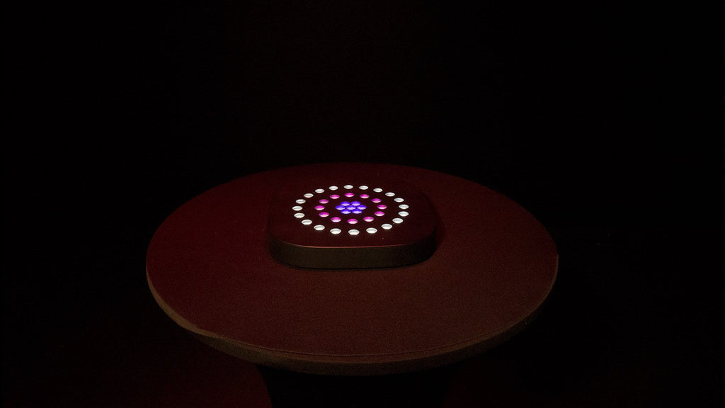 Chauvet Freedom Centerpiece (4 Pack)